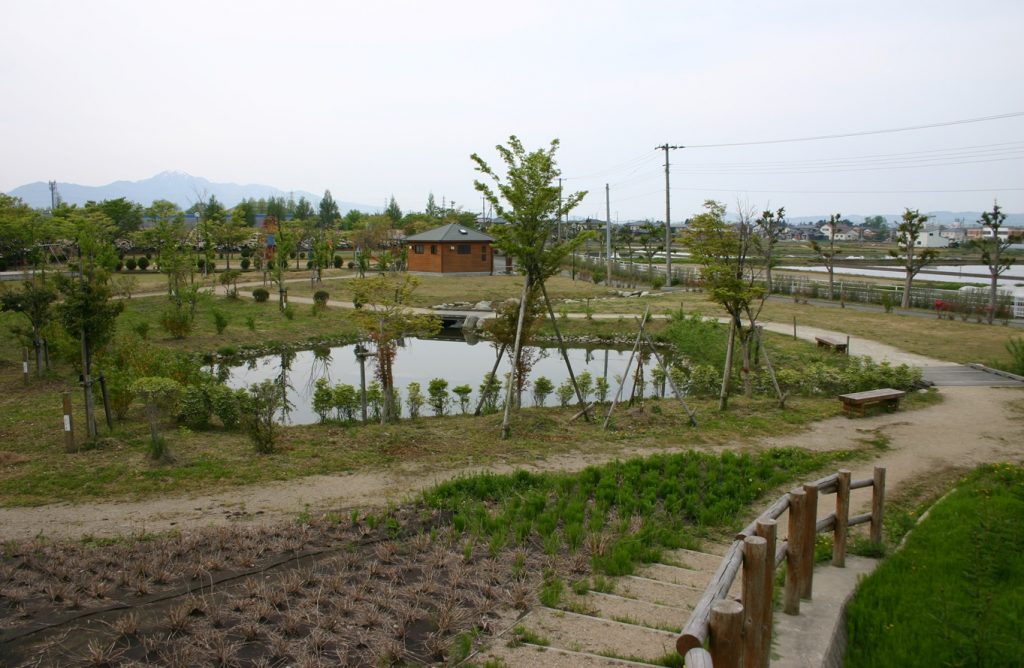 東公園再整備